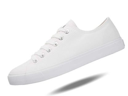 Retro Low Top Casual Summer Sneaker SB Canvas Shoes