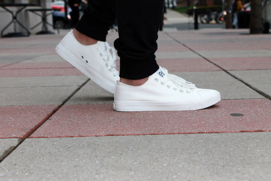 Retro Low Top Casual Summer Sneaker SB Canvas Shoes